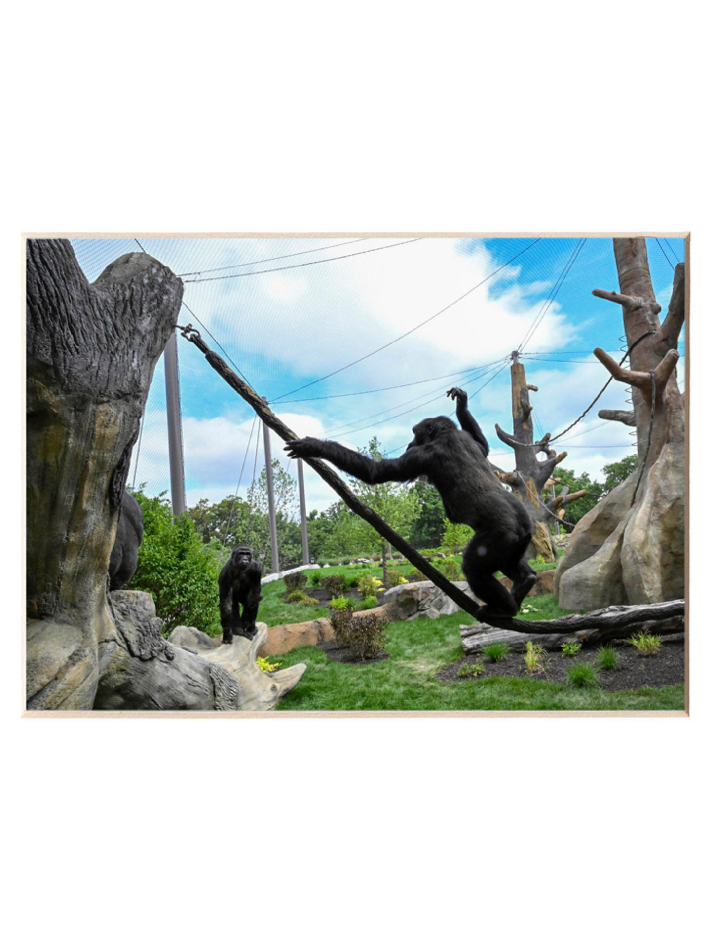 BINTI & ALI GORILLAS ON VINE BKZ PRINT