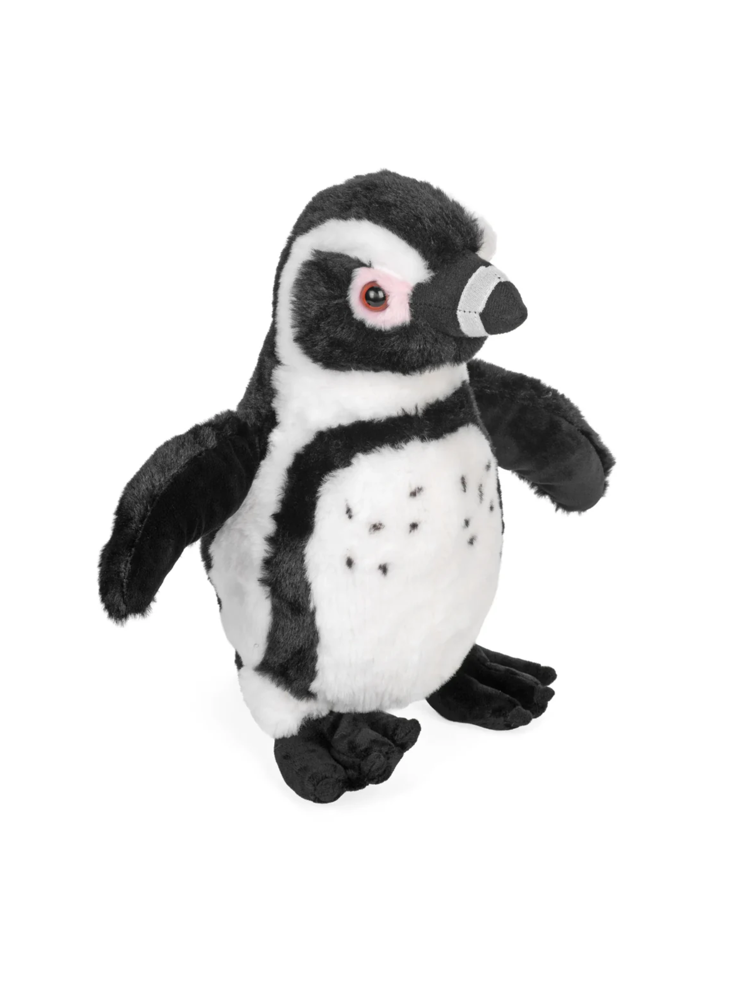BLACK FOOTED PENGUIN