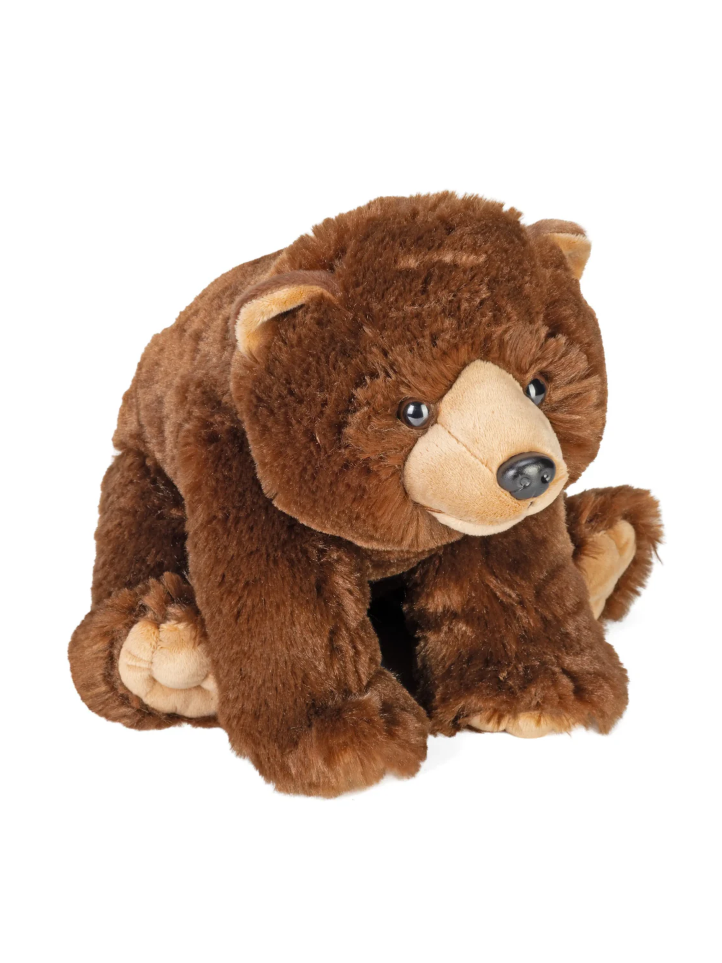 BROWN BEAR