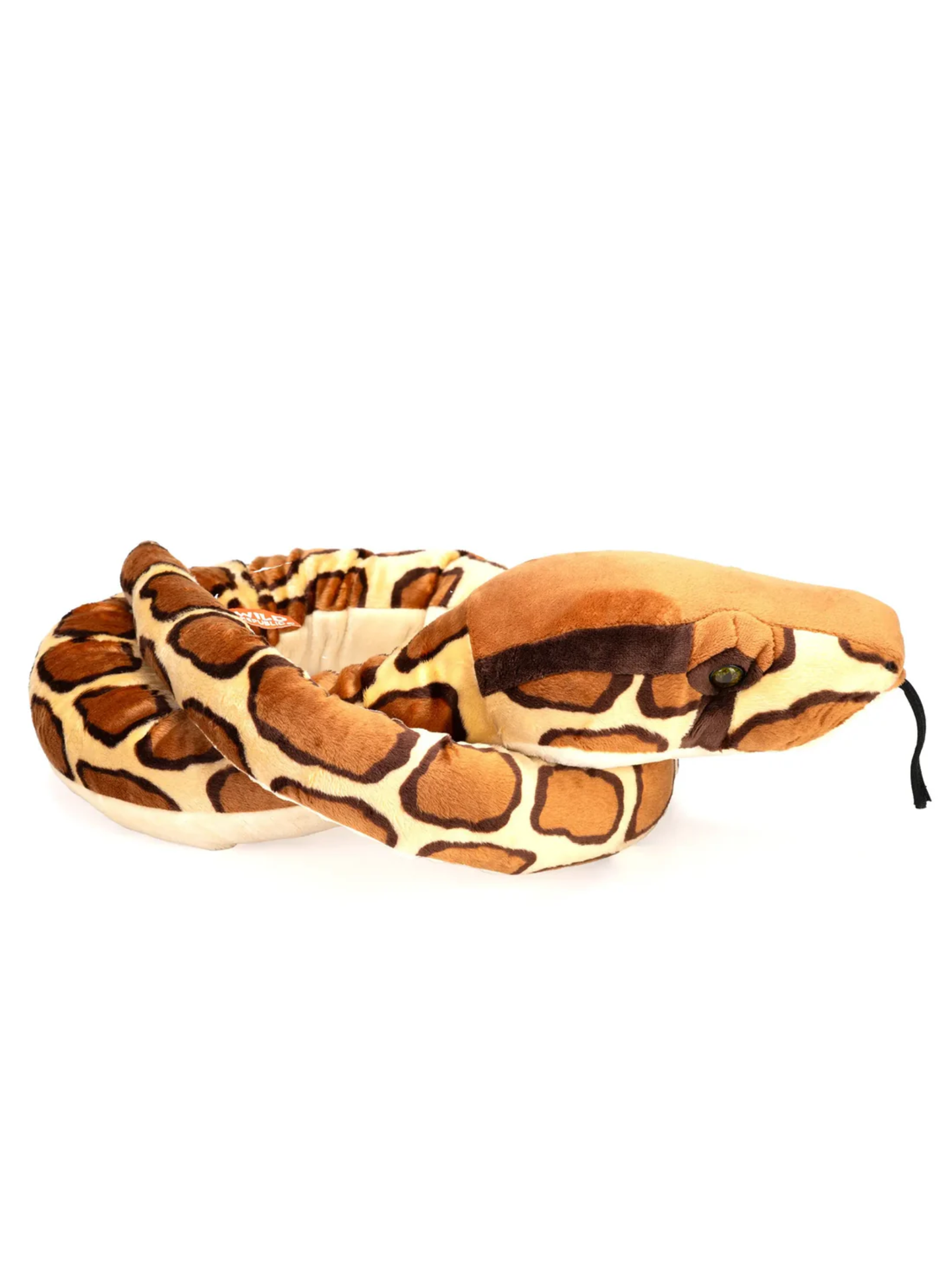 BURMESE PYTHON
