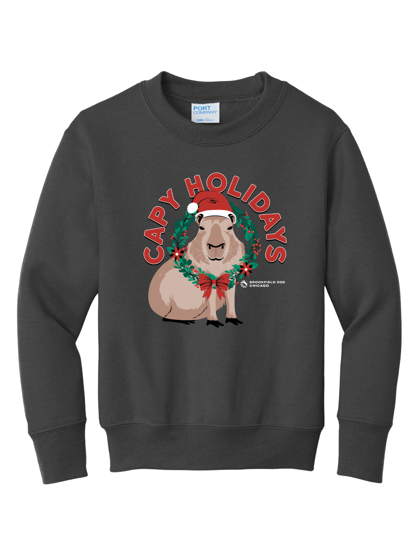 BROOKFIELD ZOO HOLIDAYS CAPYBARA YOUTH CREWNECK