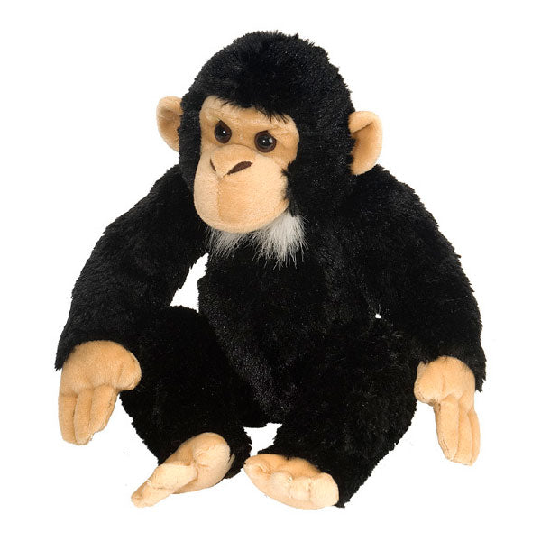 CHIMP