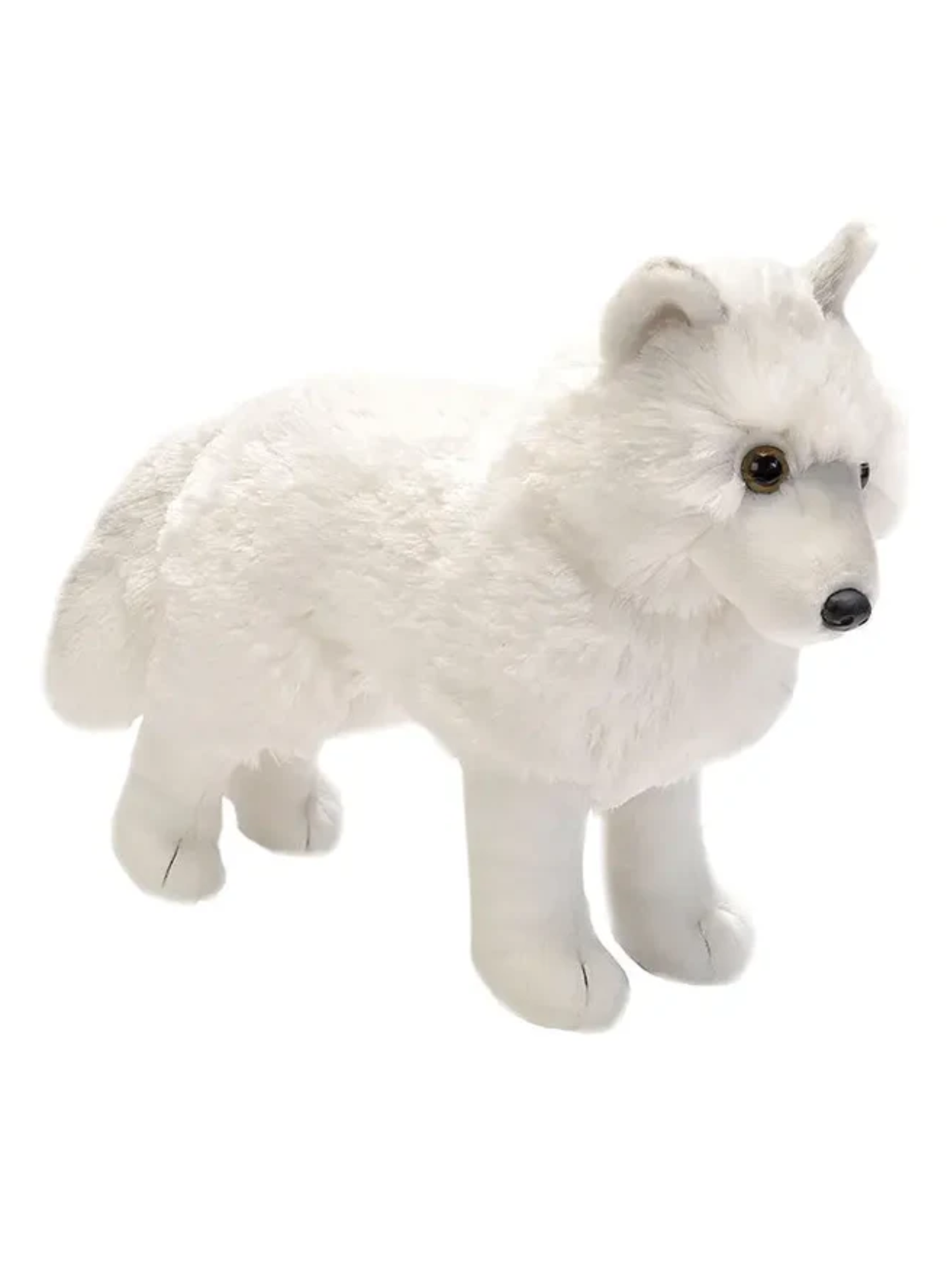 STANDING ARCTIC WOLF