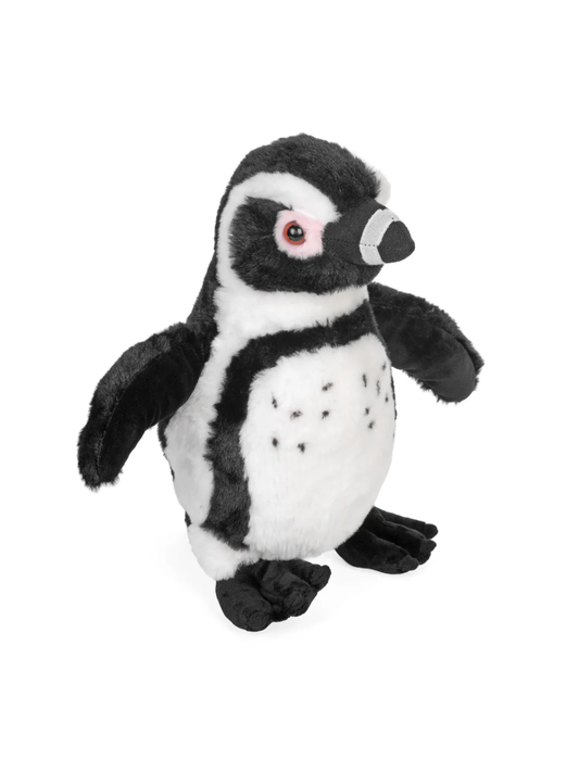 BLACK FOOTED PENGUIN