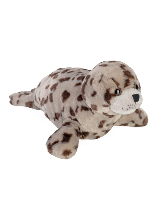 HARBOR SEAL