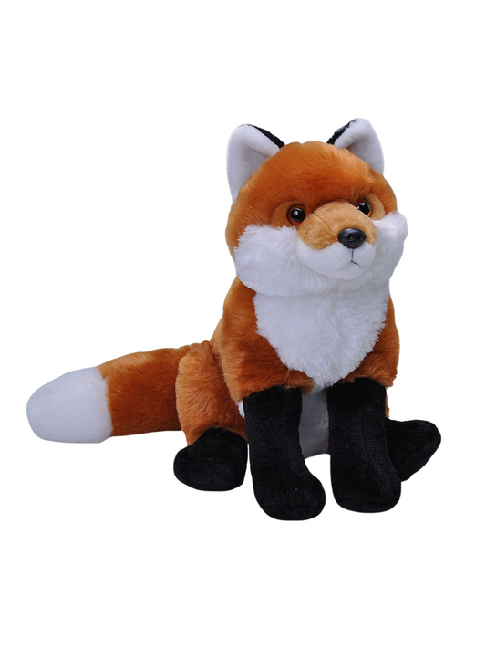 RED FOX