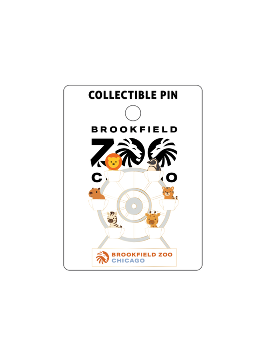 BROOKFIELD ZOO FERRIS WHEEL PIN