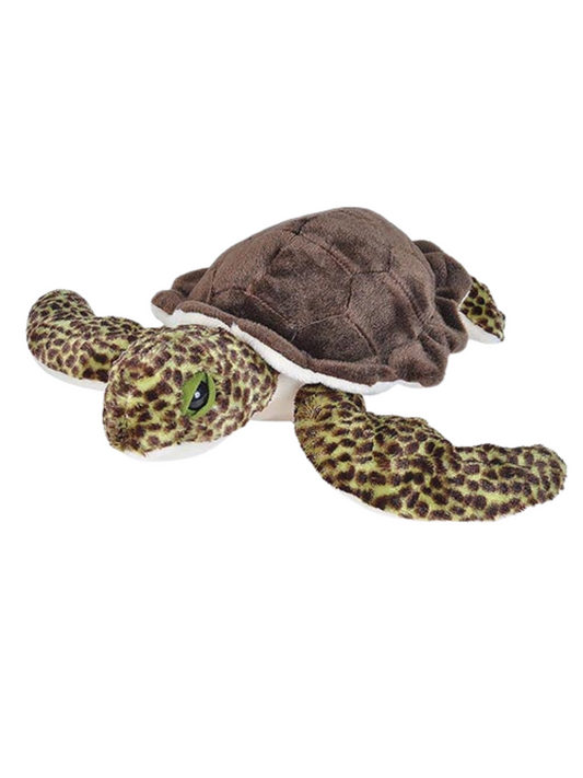 SEA TURTLE