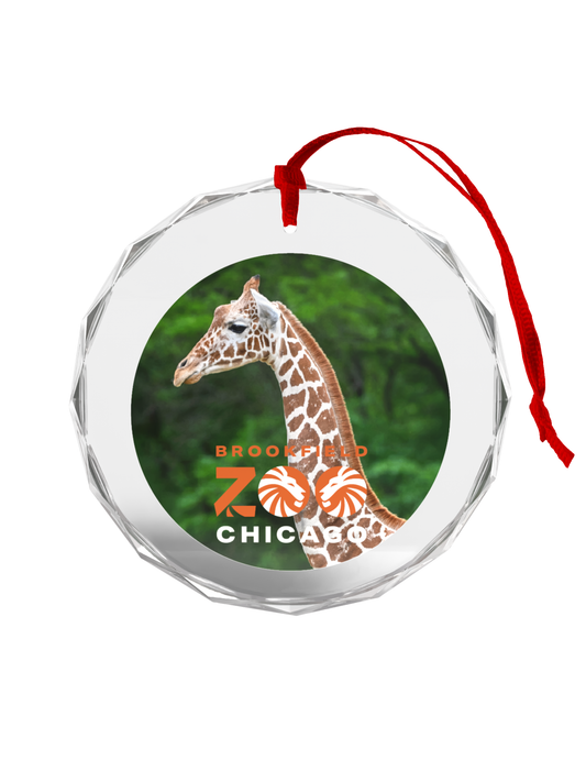 GIRAFFE "ASHA" GLASS ORNAMENT