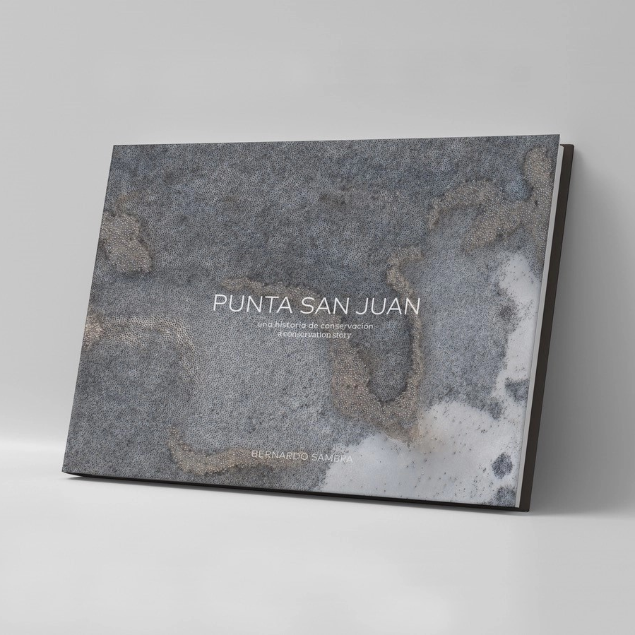 PUNTA SAN JUAN