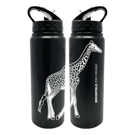 SILHOUETTE WATER BOTTLE